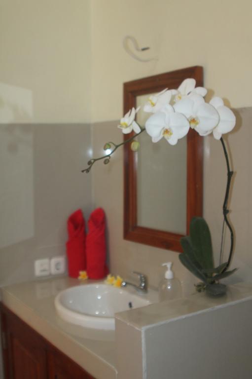 Amed Kunara Guest House المظهر الخارجي الصورة